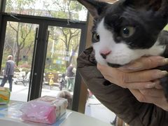 -瑞鹏宠物医院·宠保定点·心脏科·内科(御桥分院)