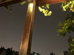 -普朗姆生蚝吧(原建国路店)