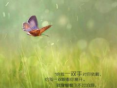 -济南方特东方神画