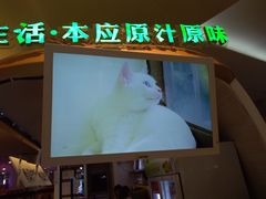 -深圳龙华星河COCO City(民治店)