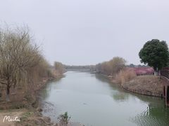 -南湖湿地公园