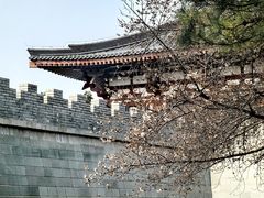 -唐城墙遗址公园