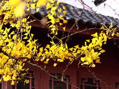 -大慈岩风景区