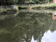 -山王坪喀斯特国家生态公园
