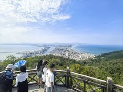 -广东惠东海龟国家级自然保护区