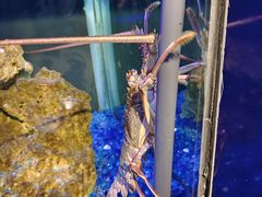 -海合安武汉极地海洋公园