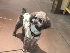 -东北风(鄞州万达店)