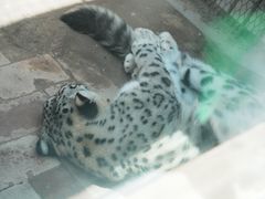 -青藏高原野生动物园