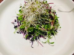 -淮食·雅宴(北大博雅国际酒店)