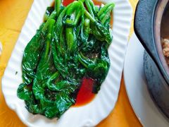 -清真·安乐园菜馆(茶南店)