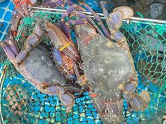 -聚德福海鲜家常菜(刘庄店)