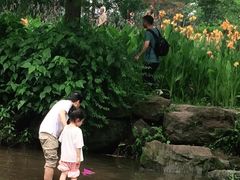 -重庆彩云湖湿地公园