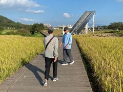 -艾米稻香小镇