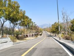 景点-西昌邛海湿地