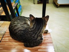 -玉椰林甜品店(创始店)