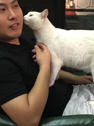 -HMC美容按摩SPA馆