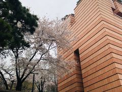 -三星美术馆Leeum