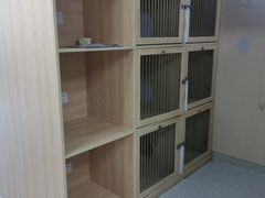 -谐和贝康宠物医院24小时·宠保定点(急重症转诊中心)