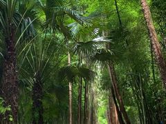 -中国科学院西双版纳热带植物园