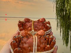 -蟹天蟹地农家菜·阳澄湖大闸蟹(浅水湾店)
