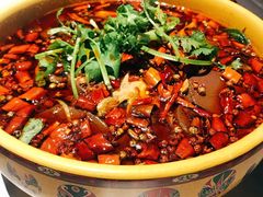 精品毛血旺-红辣椒·川菜·火锅(张杨路店)