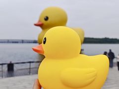 -深圳人才公园