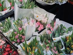 -溪岸路花鸟市场