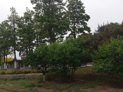 -永定河休闲森林公园