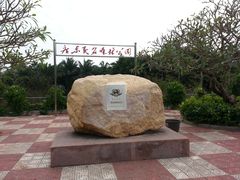 -广东茂名森林公园