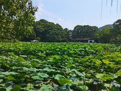 -兰亭风景区
