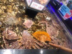 -盒马鲜生(岭南新世界店)