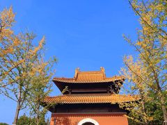 -大报恩寺遗址景区
