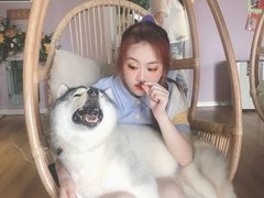 -Husky Go! 哈士奇体验馆·宠物咖啡厅狗咖