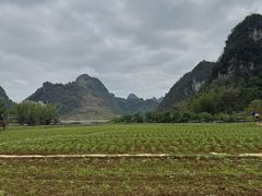 -靖西鹅泉风景区