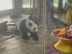 -海南热带野生动植物园