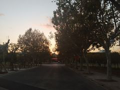 -复旦大学(张江校区)