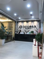 -DEM缔怡美科技美容