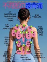 点击看大图 -玛莲朵·海菲秀冰珀科