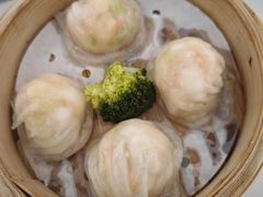 -圣丰城酒家·宴会(宝安大仟里店)