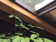 -VOYAGE COFFEE(北锣鼓巷店)