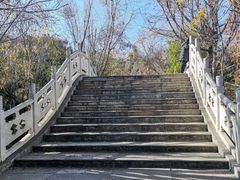 -洛龙公园