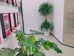 -新东方斯芬克艺术留学作品集培训(郑州校区)