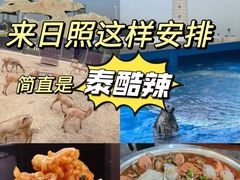 -渡海小渔村.老辈日照菜