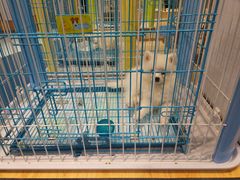 -龟与熊猫宠物公园(南坪店)