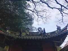 -普陀山慧济禅寺