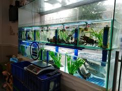 -富临港·蒸汽海鲜·手抓海鲜·炒菜(栈桥店)