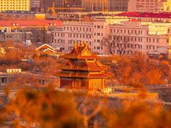 -故宫博物院(故宫)