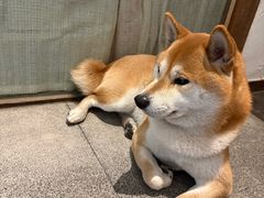 -三目仓咖啡(贤南路店)