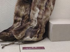 -黑龙江大学