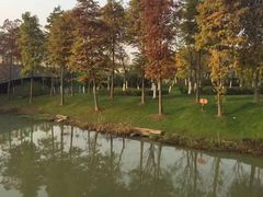 -尚贤河湿地